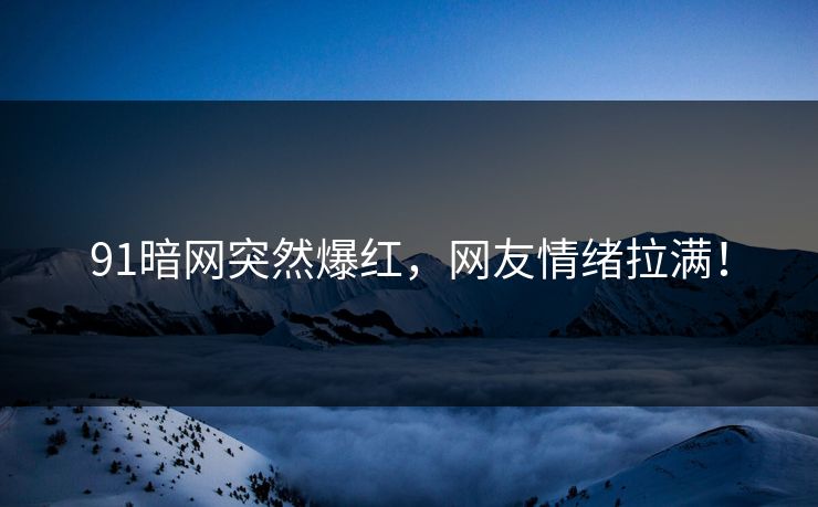 91暗网突然爆红，网友情绪拉满！