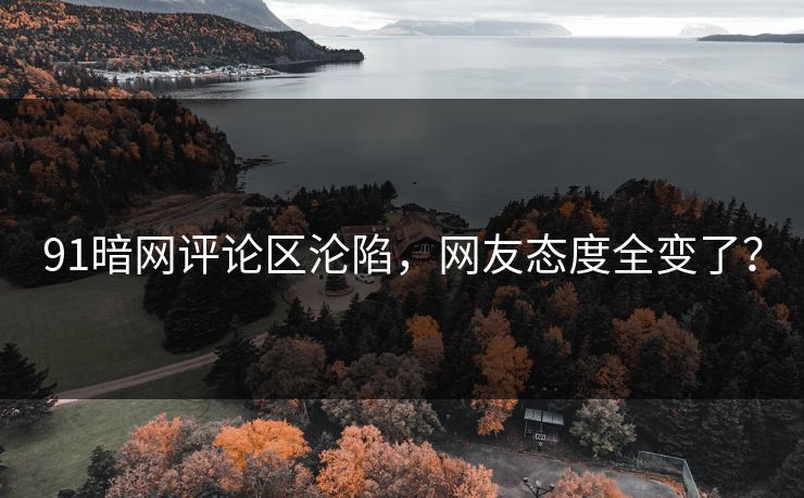 91暗网评论区沦陷，网友态度全变了？