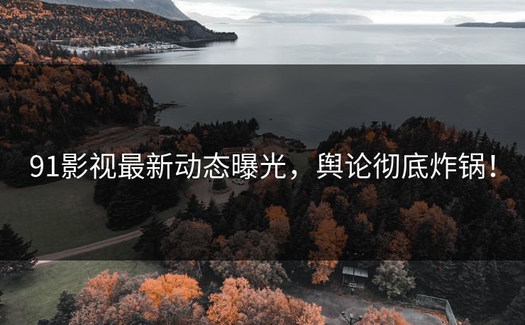 91影视最新动态曝光，舆论彻底炸锅！