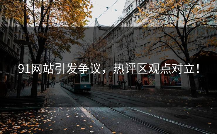 91网站引发争议，热评区观点对立！