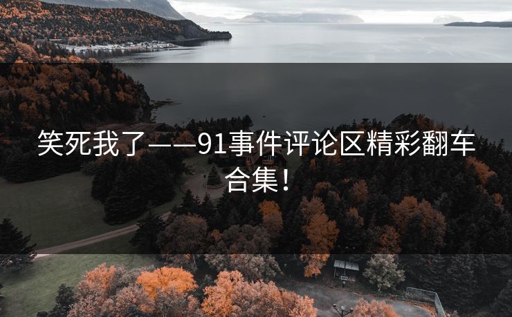 笑死我了——91事件评论区精彩翻车合集！