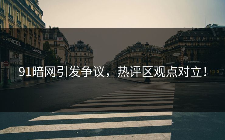 91暗网引发争议，热评区观点对立！