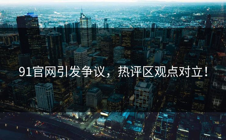 91官网引发争议,热评区观点对立!