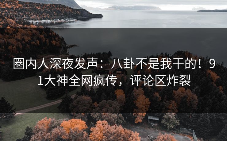 圈内人深夜发声：八卦不是我干的！91大神全网疯传，评论区炸裂