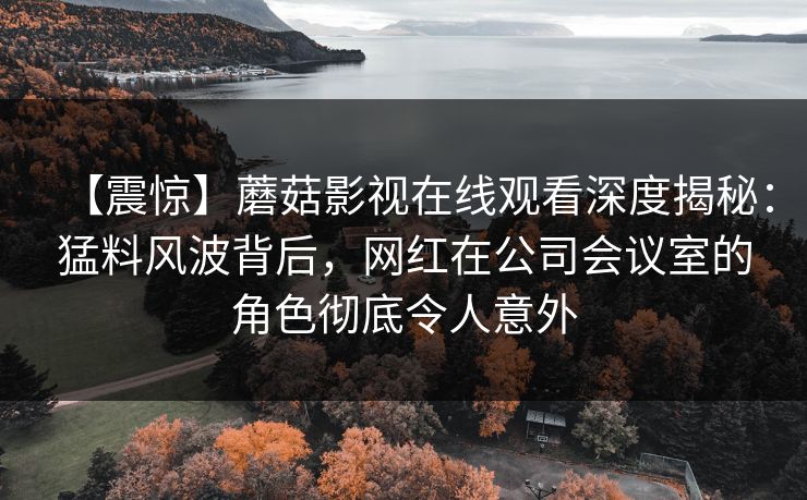 【震惊】蘑菇影视在线观看深度揭秘：猛料风波背后，网红在公司会议室的角色彻底令人意外